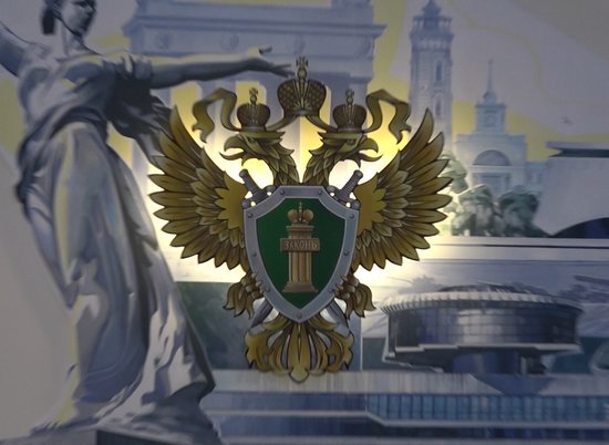 Волгоградец ответит в суде за неуплату 7,9 млн рублей налогов