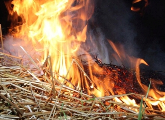 В Волгоградской области горит сено