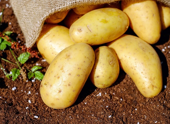 В Волгоградской области подешевели картофель и белокочанная капуста