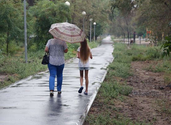Начало недели в Волгограде и области будет дождливым