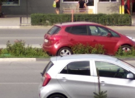 Две волжанки удачно "припарковались" в городской клумбе