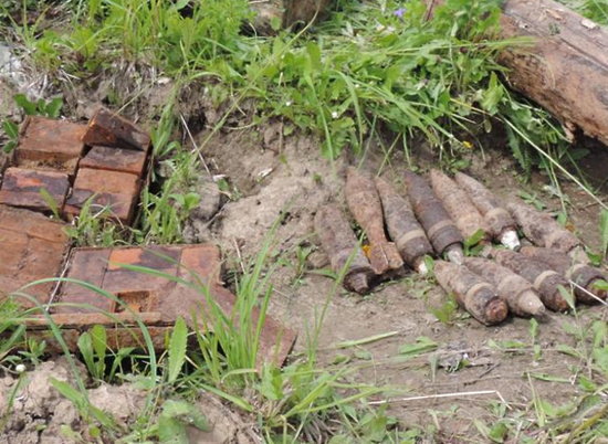 Под Волгоградом дачник обнаружил боеприпасы времен войны