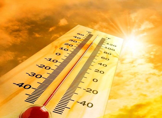 Август дает жару: в четверг в Волгограде вновь под +40