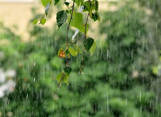 В Волгоградскую область возвращаются дожди и грозы