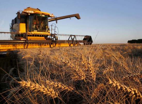 В Волгоградской области на 80% выполнен осенний посев