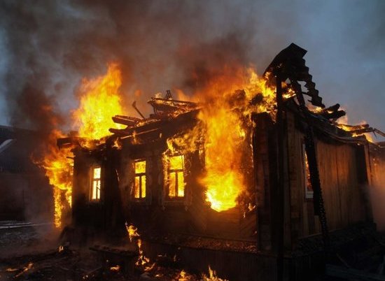В пожаре в Волгоградской области заживо сгорели двое мужчин