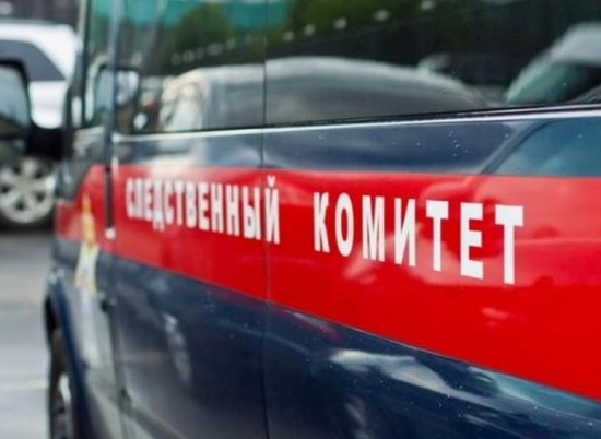 В Волгограде по факту смерти девочки на борту самолета организована проверка