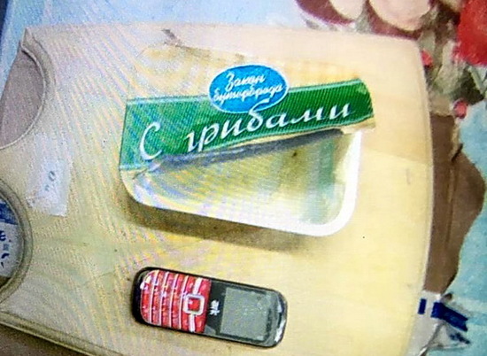 Сыр «с сюрпризом» хотели пронести в исправительную колонию Волгограда