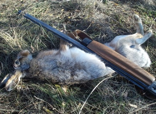 Волгоградского браконьера вычислили по фото в социальной сети