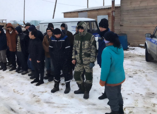 В Волгоградской области обнаружены 37 мигрантов, трудящихся в теплицах