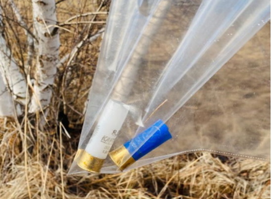 Во Фроловском районе задержали браконьеров, застреливших лосёнка