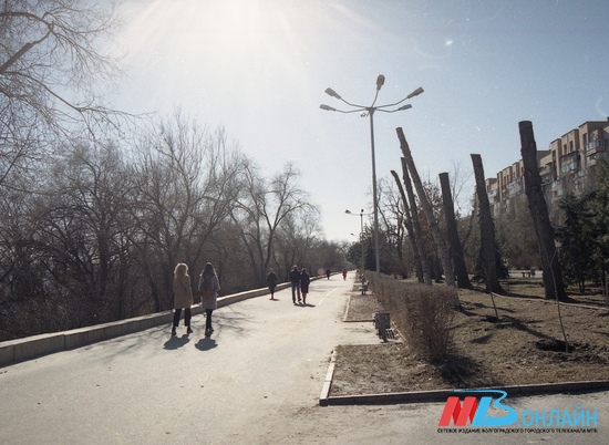 Температура воздуха в Волгограде прогреется до +14º