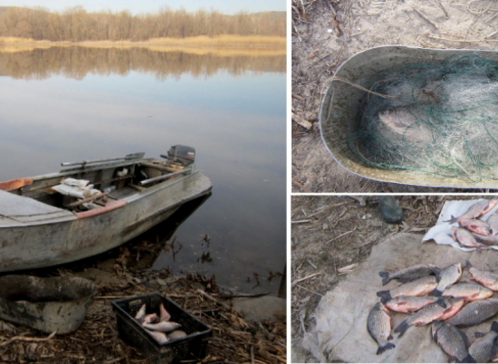 Под Волгоградом пенсионер попался за незаконный вылов рыбы