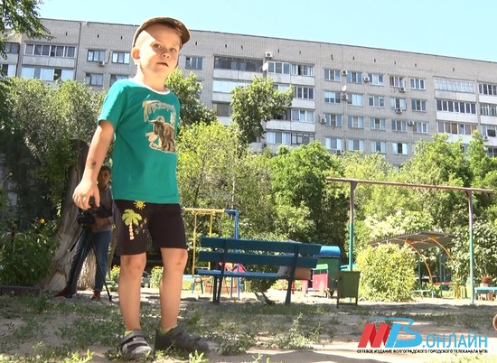 Выплаты на детей от 3 до 7 лет начали выдавать в Волгоградской области