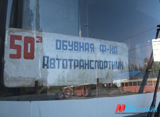 Количество дачных автобусов в Волгограде временно сократили
