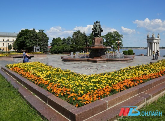 Жители Волгограда выберут лучшие фото в конкурсе «Цветущий сад»