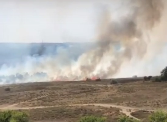 В Волгограде локализовали пожар на Лысой горе