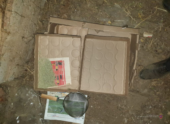 В летней кухне жителя Волгоградской области обнаружили 4 кг марихуаны