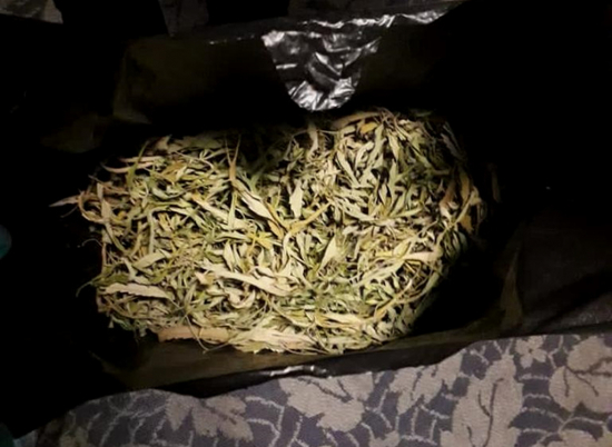 Под Волгоградом в доме безработного обнаружили 2 кг марихуаны