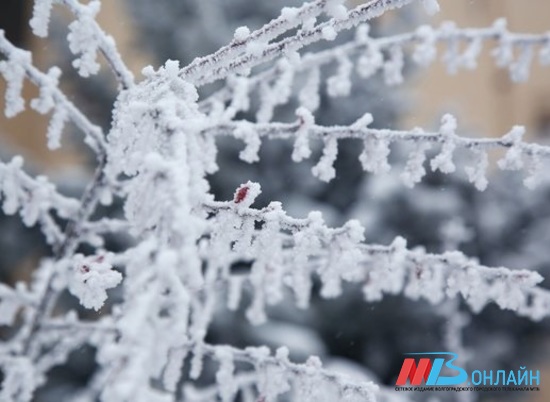 15 января в Волгограде ожидается сильный снегопад