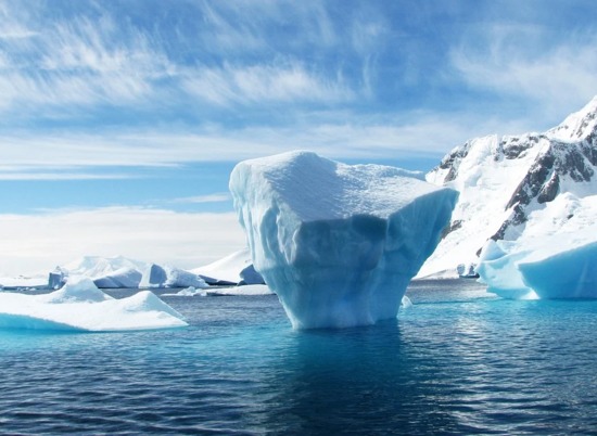 В Арктике нaшли вмерзшего в лед монстра с плоской головой