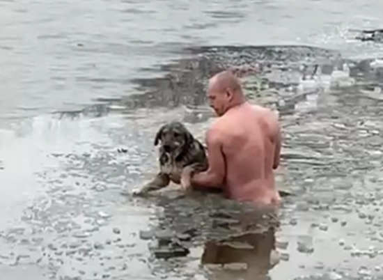 Волгоградец спас провалившуюся под лёд собаку