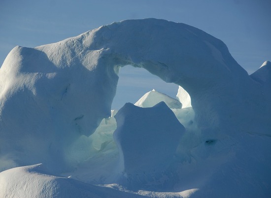 В Гренландии глубоко подо льдом нашли древние растения