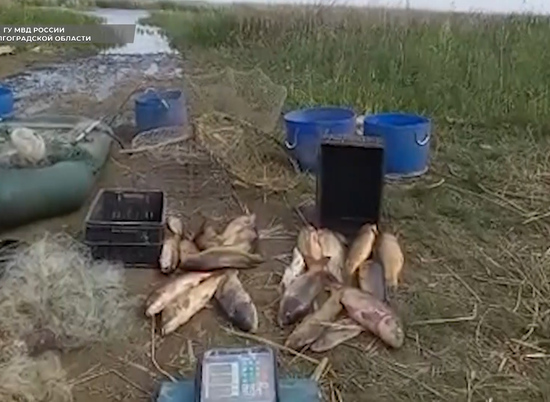 Еще 8 волгоградских браконьеров попали в "Путину"