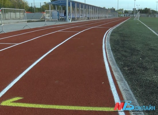 В Волгограде на стадионе «Темп» построят сектор для прыжков в длину