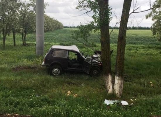 Водитель «Нивы» попал в больницу после ДТП на мокрой обочине под Волгоградом