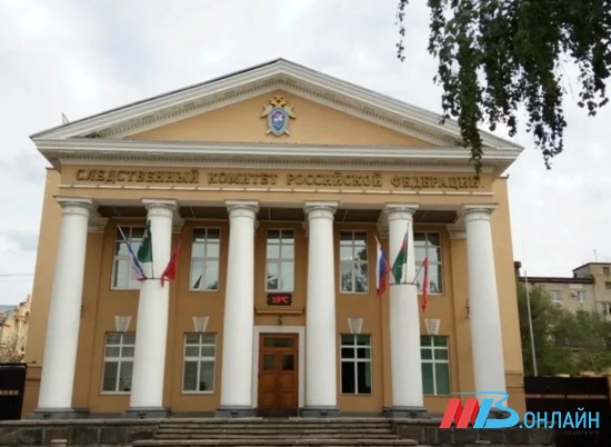 17-летнего жителя села Лог в Волгоградской области осудили за двойное убийство