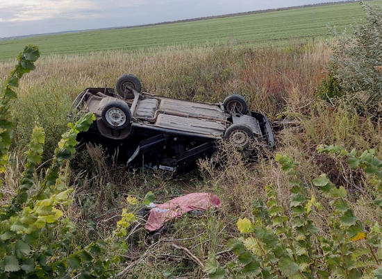 Под Волгоградом в перевернувшемся автомобиле погиб 53-летний водитель