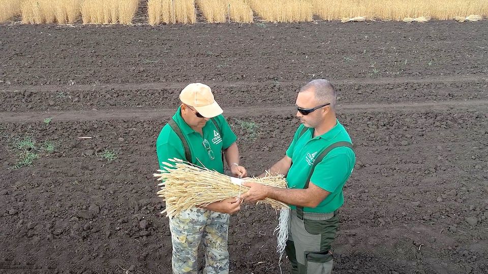 Волгоградская агрономическая компания вступила в нацпроект "Производительность труда"