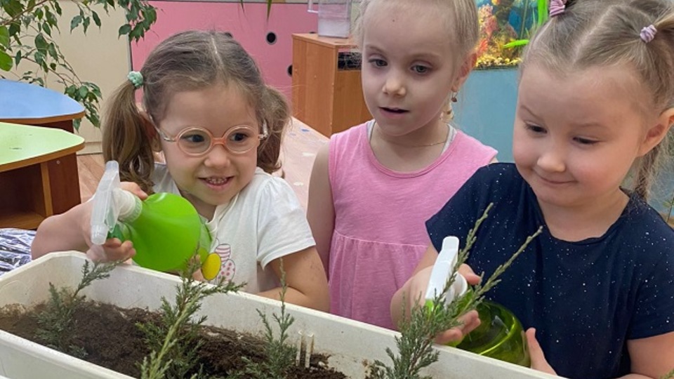 В школах и детсадах Волгограда высадили в закрытый грунт 1500 семян деревьев и кустарников