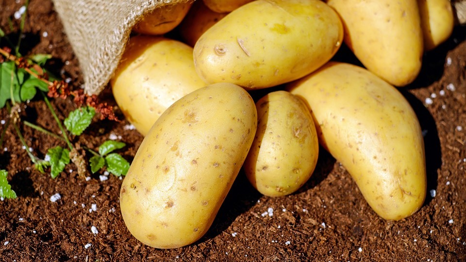 Резкий рост цен на картофель зафиксирован в Волгограде