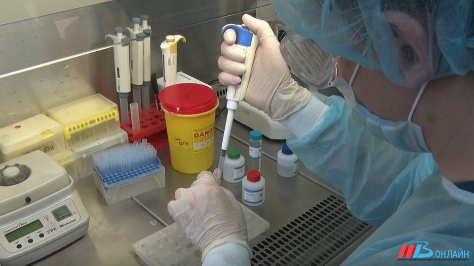 В Волгоградской области выявили 646 новых случаев коронавируса