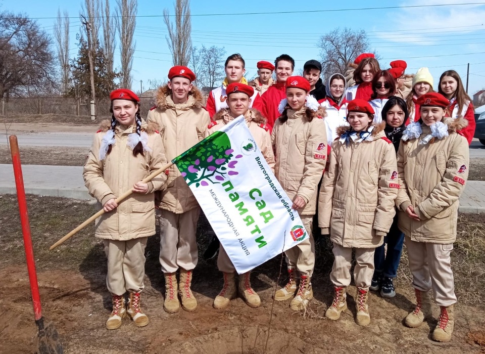 В Волгоградской области в честь героев войны высадят 600 тысяч деревьев