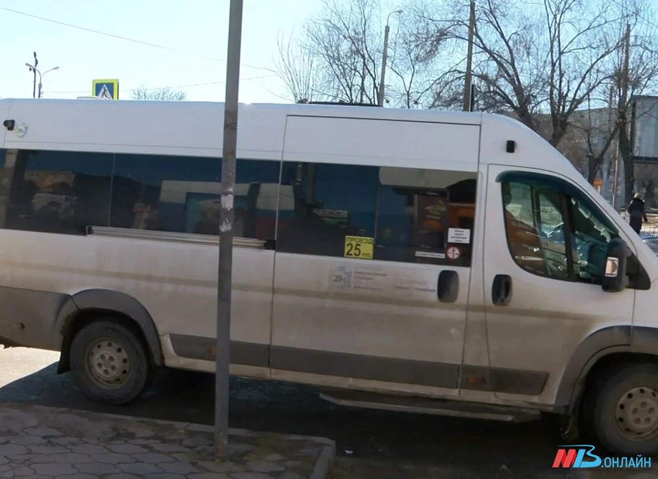Волгоградским перевозчикам продлили лицензии на 12 месяцев