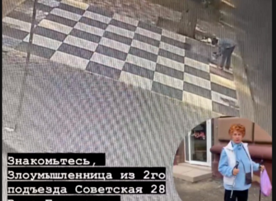 В центре Волгограда женщина испортила краской «шахматную доску»