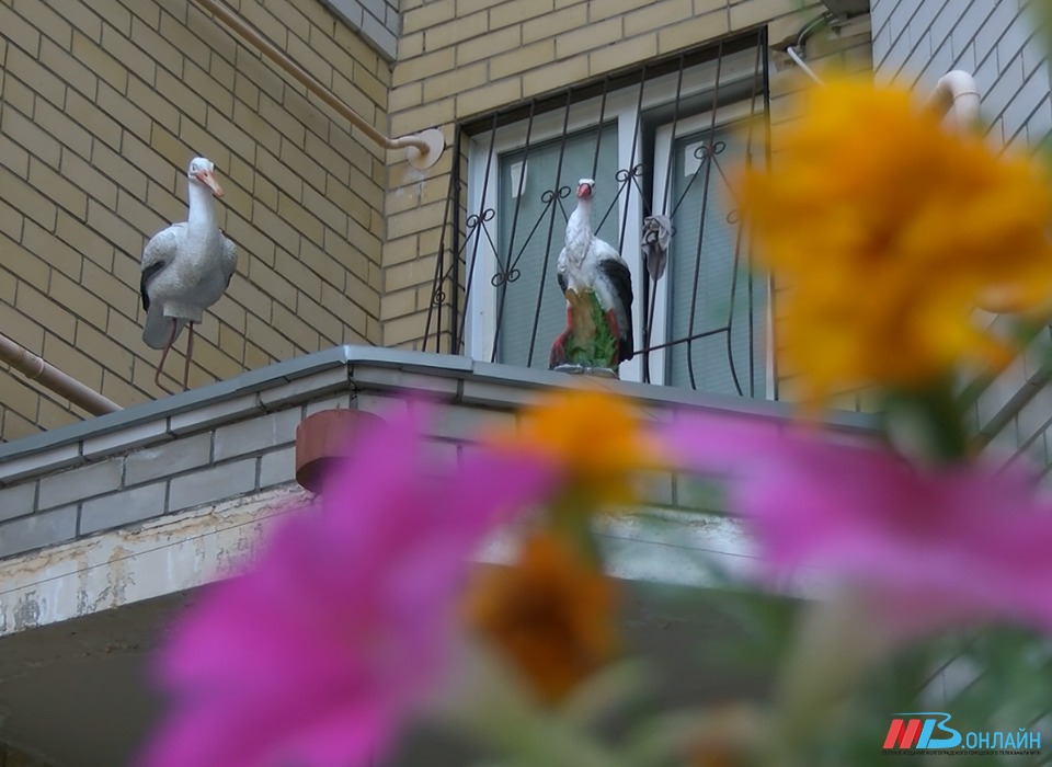 Двор с зоной барбекю на западе Волгограда претендует на звание лучшего