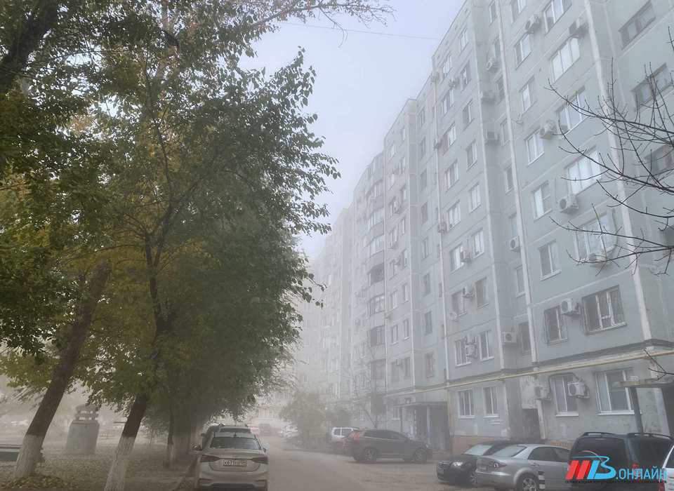 В Волгограде из-за тумана образовались пробки