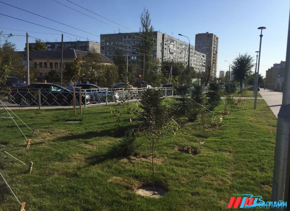 В Волгограде демонтируют здание больничного корпуса в Красноармейском районе