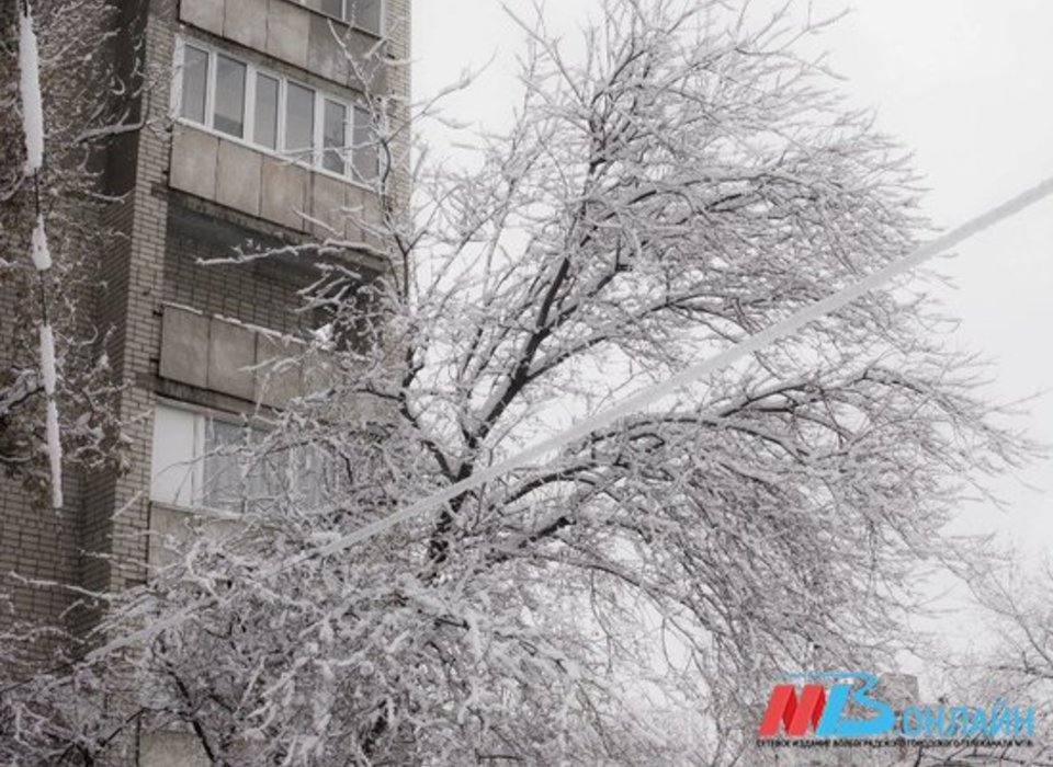 В ночь на 1 декабря в Волгоградской области похолодает до -12 º