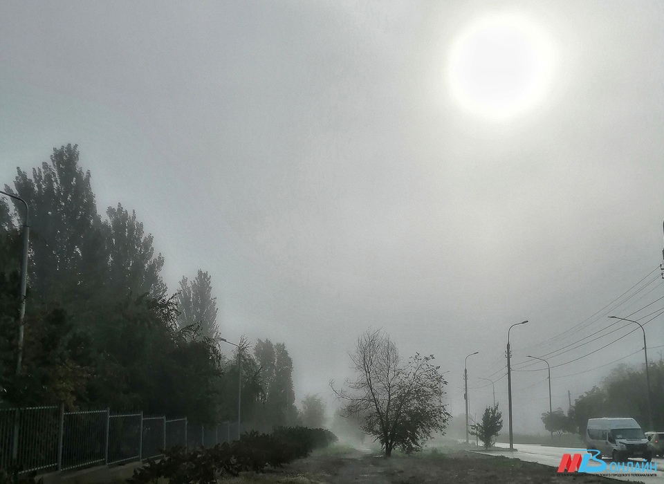 В Волгоградской области 12 декабря ожидаются туман, гололёд и ветер до 22 м/с