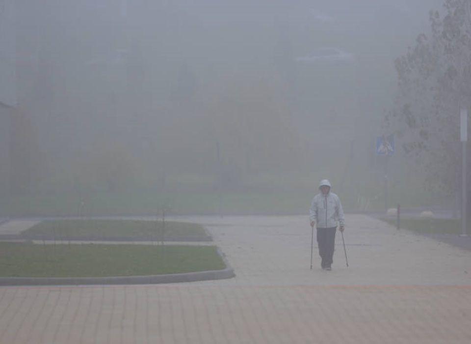 23 декабря на Волгоград опустился плотный густой туман