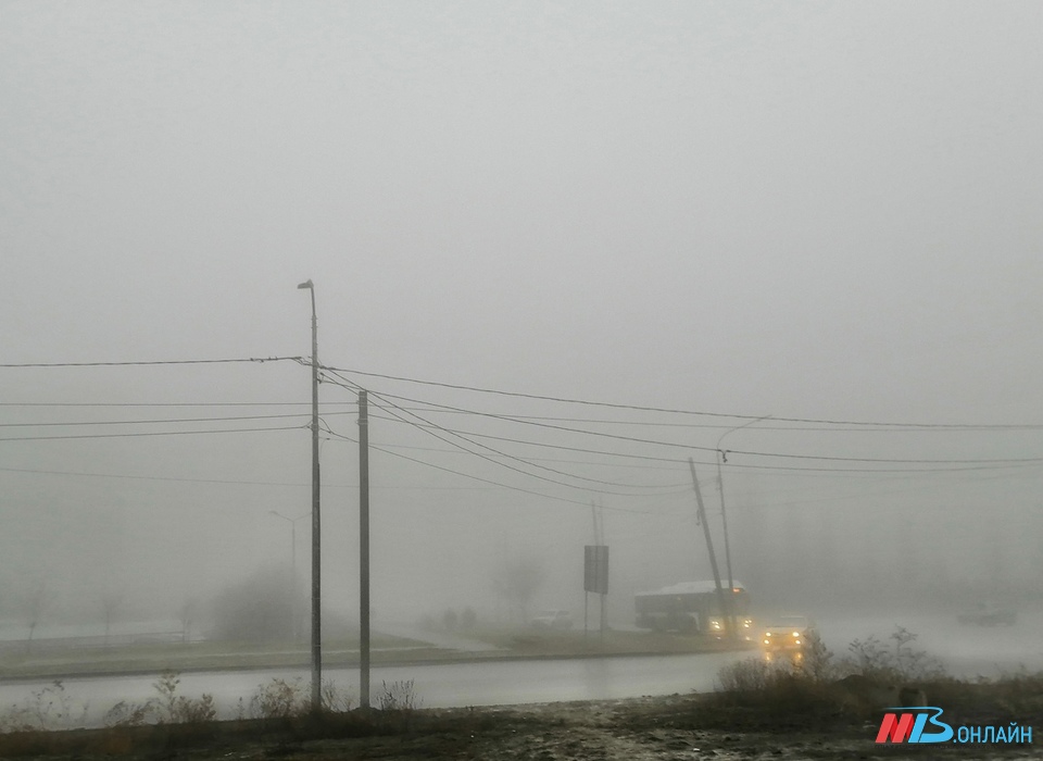 В Волгоградской области 25 декабря ожидаются гололёд и туман при +3 градусах