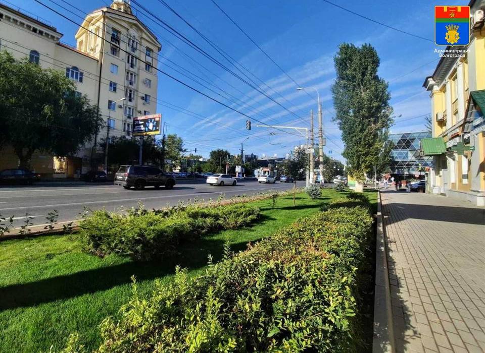 В Волгограде завершили озеленение Рабоче-Крестьянской улицы