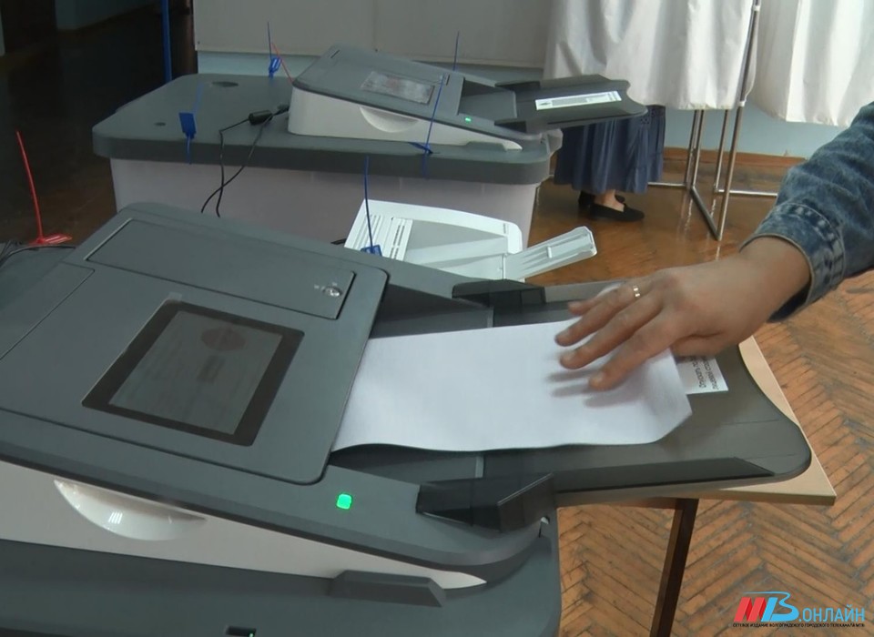 В Волгоградской области обнародованы первые данные о явке на выборах