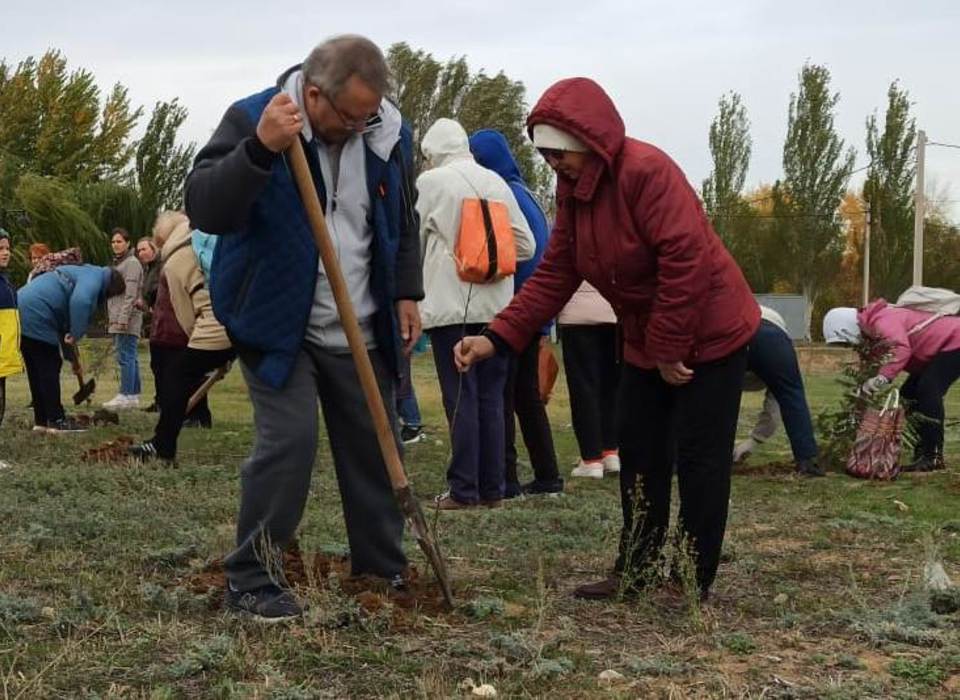 Экодобровольцы высадили 42 тыс. деревьев в Волгоградской области
