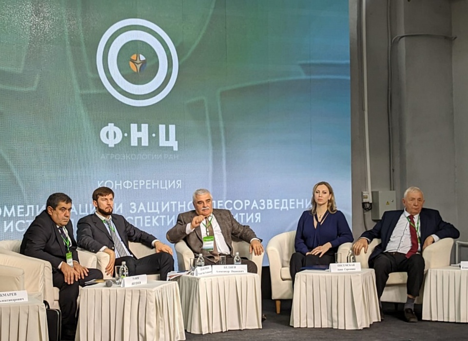В Волгограде эксперты из разных стран обсудили защиту лесов